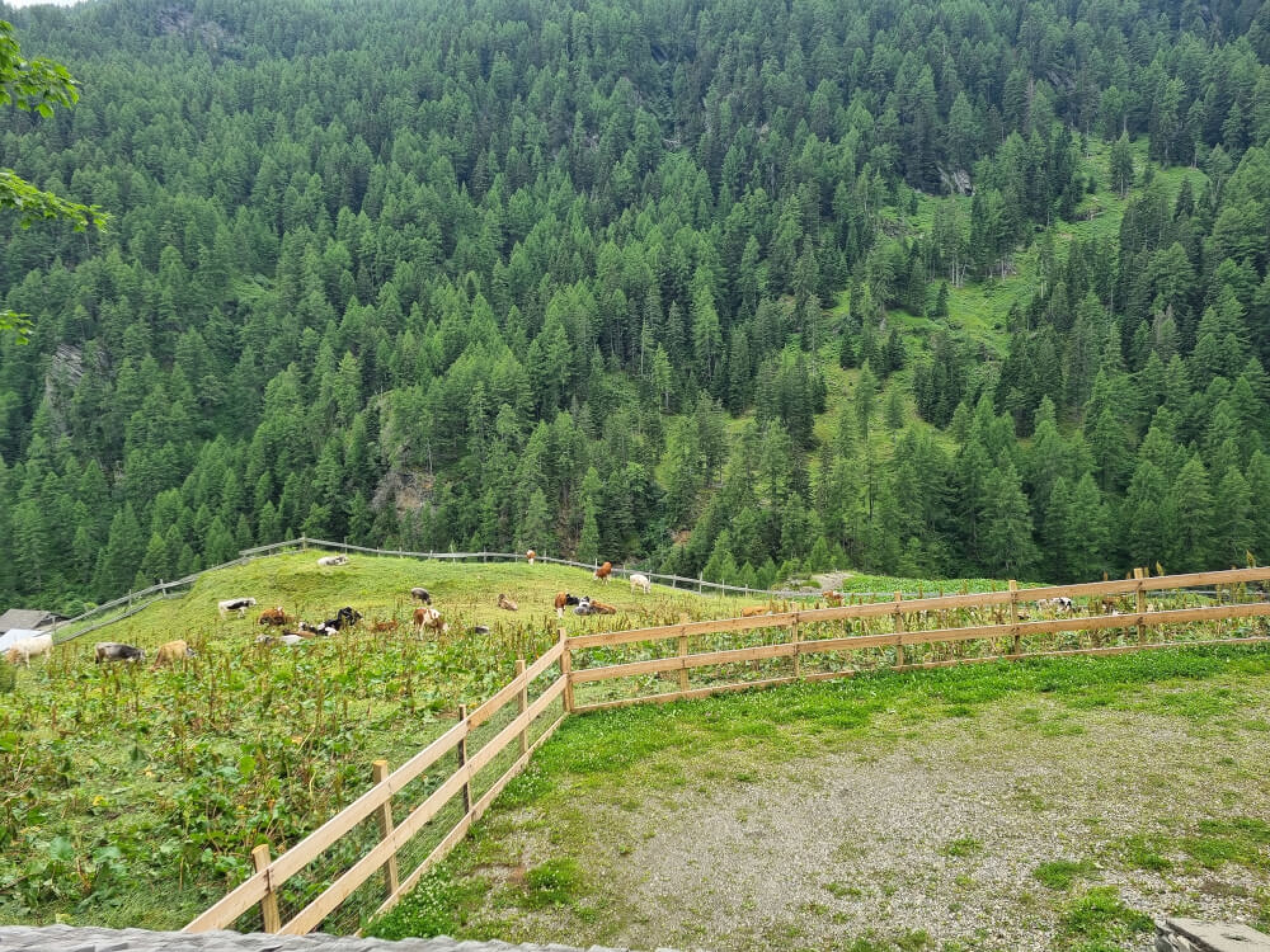 Bergchalet Englhof - 